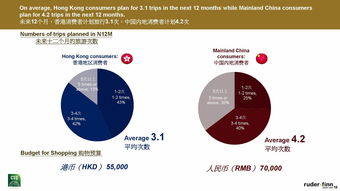 了解96I.T.: 專業(yè)數(shù)據(jù)服務引領信息時代洞察力